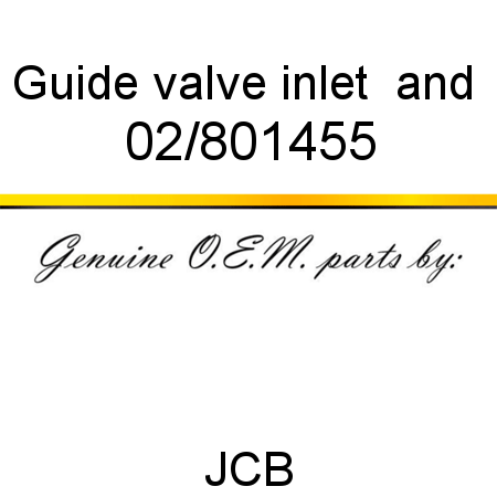 Guide valve inlet & 02/801455
