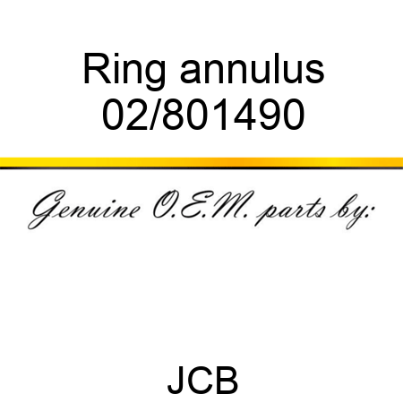 Ring annulus 02/801490