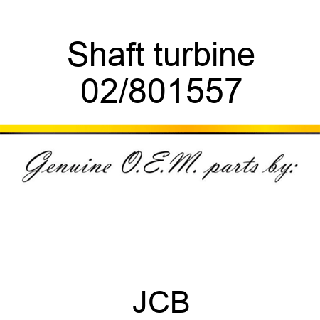 Shaft turbine 02/801557