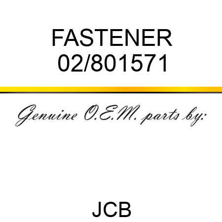 FASTENER 02/801571