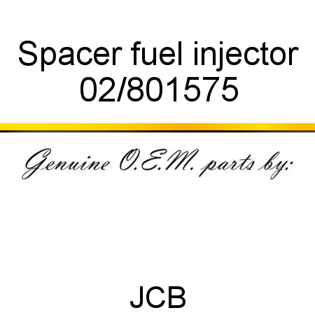 Spacer fuel injector 02/801575