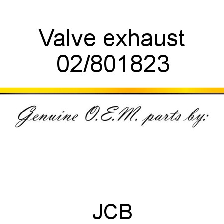 Valve, exhaust 02/801823