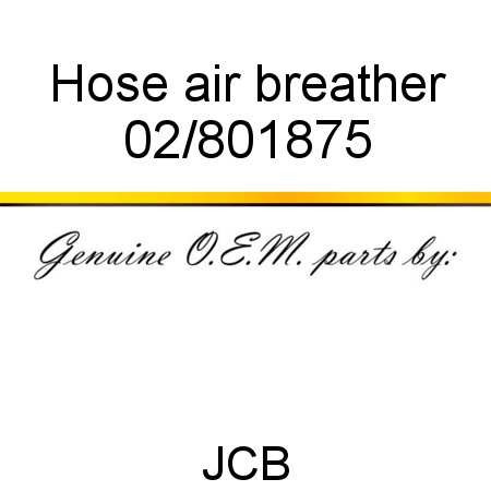 Hose, air breather 02/801875