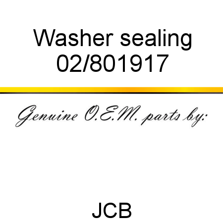 Washer, sealing 02/801917