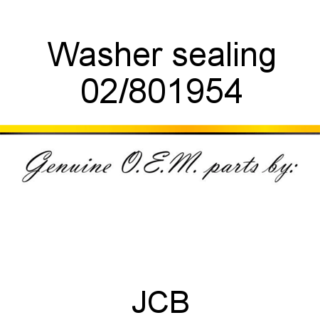 Washer, sealing 02/801954
