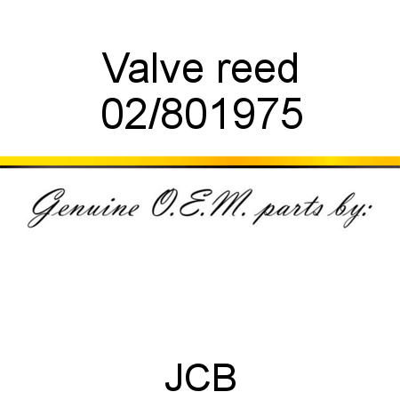 Valve, reed 02/801975