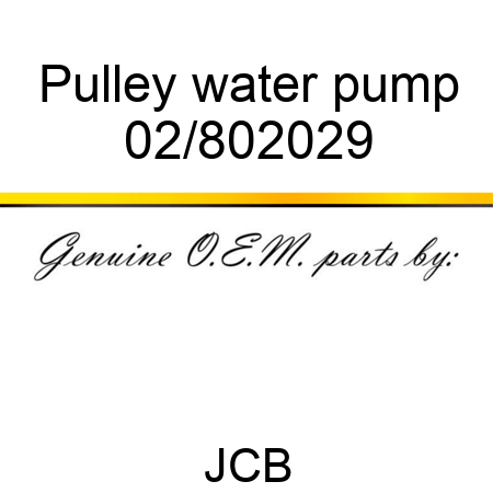 Pulley water pump 02/802029