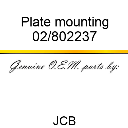 Plate mounting 02/802237