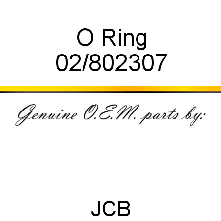 O Ring 02/802307