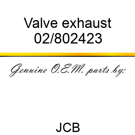 Valve exhaust 02/802423