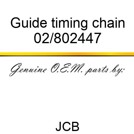 Guide timing chain 02/802447