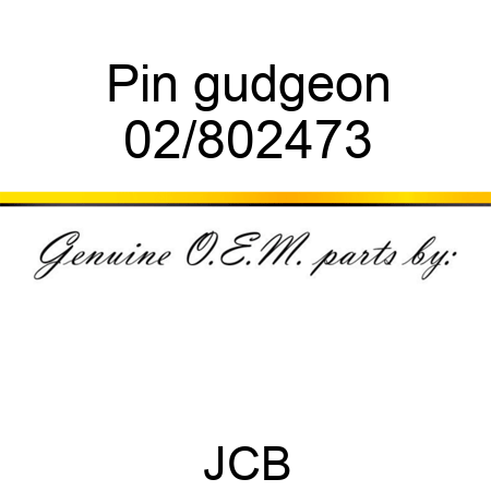 Pin gudgeon 02/802473