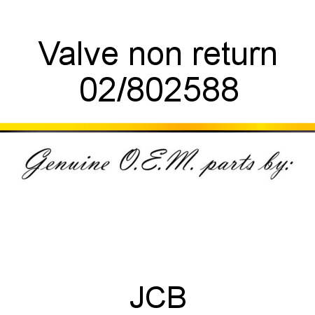 Valve, non return 02/802588