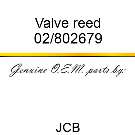 Valve reed 02/802679