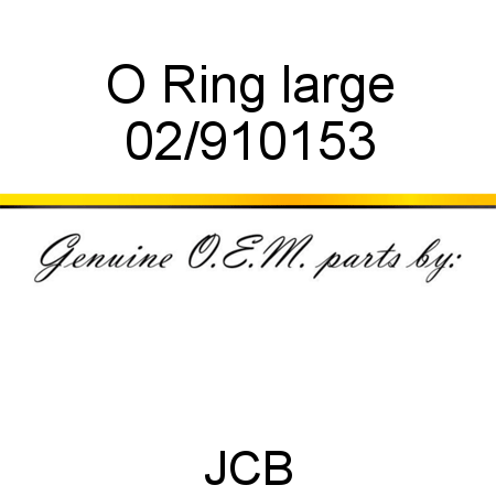 O Ring, large 02/910153