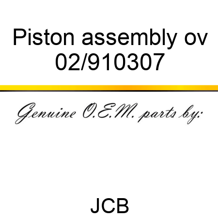 Piston assembly ov 02/910307