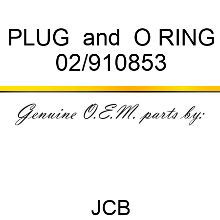 PLUG & O RING 02/910853