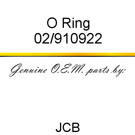 O Ring 02/910922
