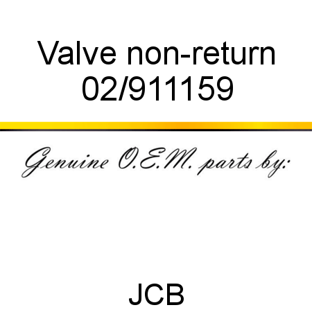 Valve, non-return 02/911159