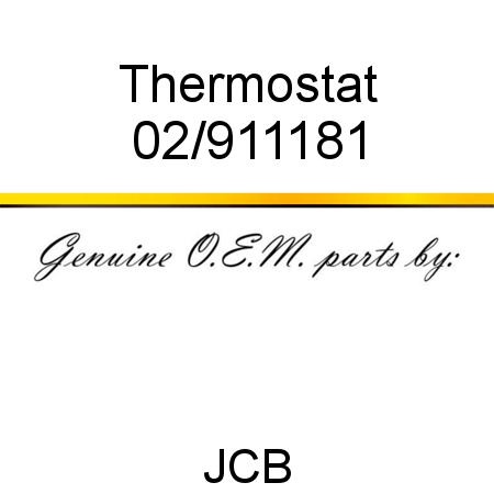Thermostat 02/911181