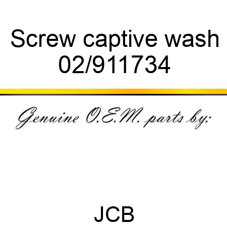 Screw captive wash 02/911734