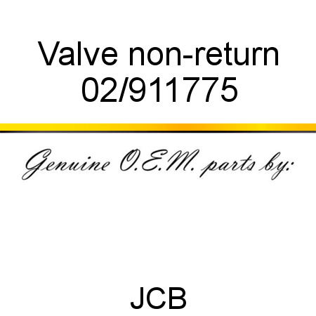 Valve, non-return 02/911775