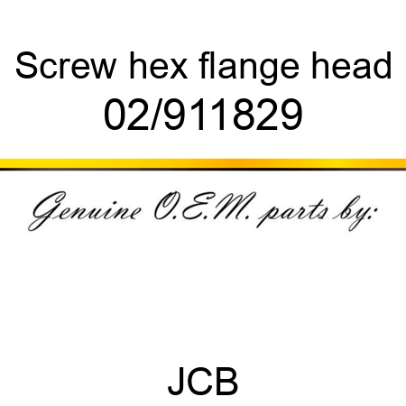 Screw, hex flange head 02/911829