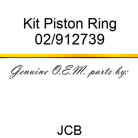 Kit Piston Ring 02/912739