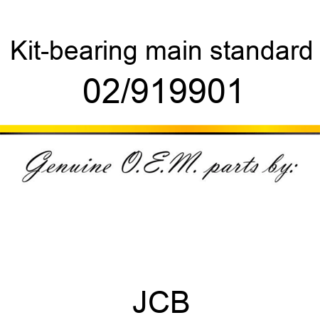 Kit-bearing, main, standard 02/919901