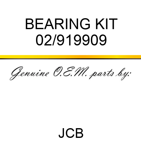 BEARING KIT 02/919909