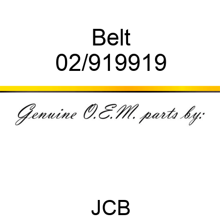 Belt 02/919919