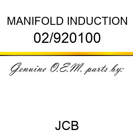 MANIFOLD INDUCTION 02/920100