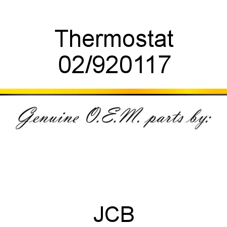 Thermostat 02/920117