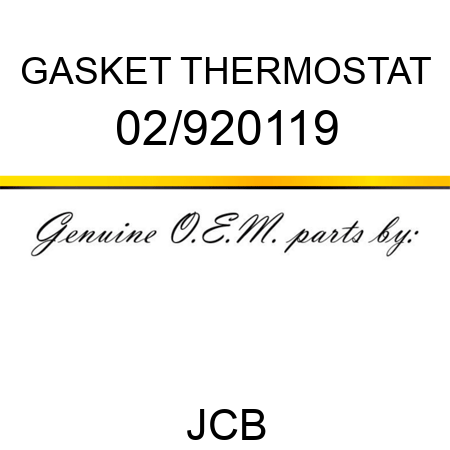 GASKET THERMOSTAT 02/920119