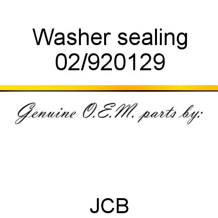 Washer, sealing 02/920129