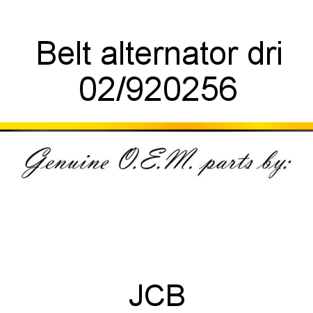 Belt, alternator dri 02/920256