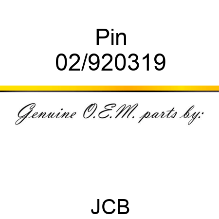 Pin 02/920319