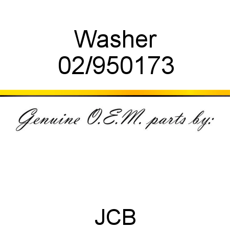 Washer 02/950173