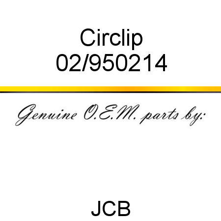 Circlip 02/950214