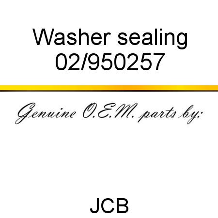 Washer, sealing 02/950257