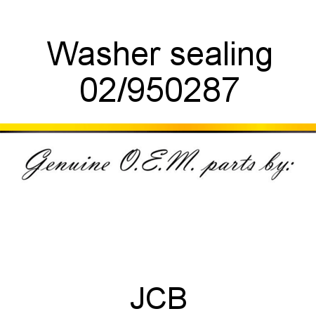 Washer, sealing 02/950287