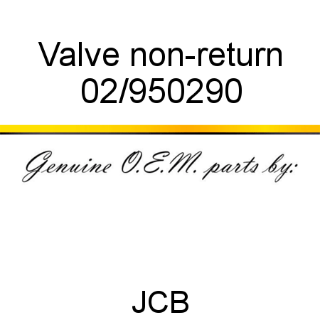 Valve, non-return 02/950290