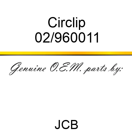 Circlip 02/960011