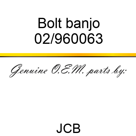 Bolt banjo 02/960063