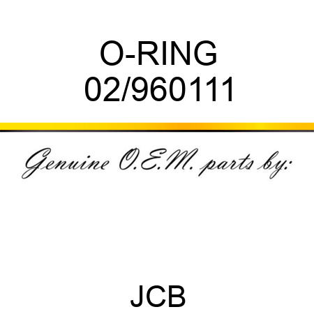 O-RING 02/960111