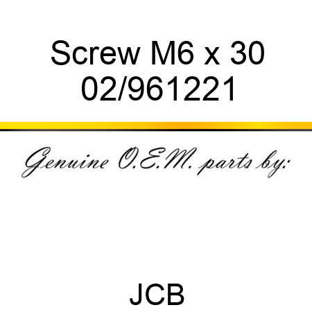 Screw M6 x 30 02/961221