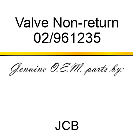 Valve Non-return 02/961235