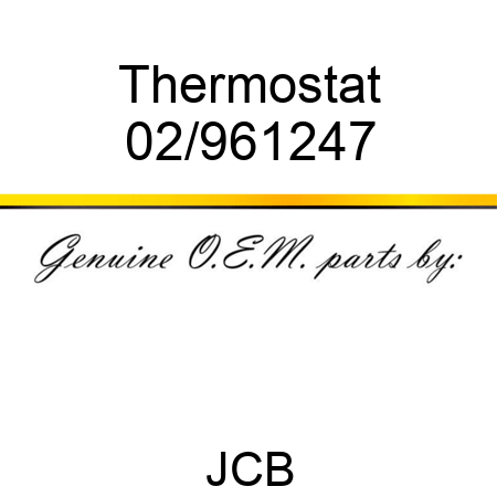 Thermostat 02/961247