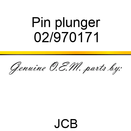 Pin plunger 02/970171