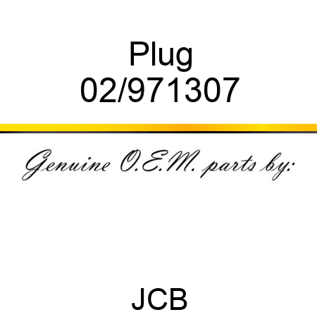 Plug 02/971307